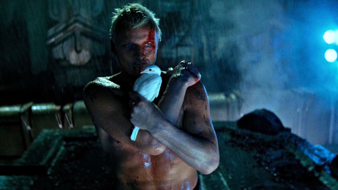 Roy Batty (Rutger Hauer) et la colombe dans la scène finale sur le toit de Blade Runner (Ridley Scott, 1982). Photogramme du film © Warner Bros. / image diffusée par le Chassé Theater.
