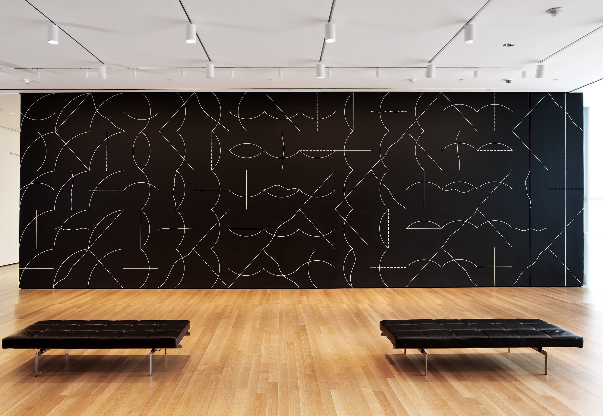 Sol LeWitt, Wall Drawing #260