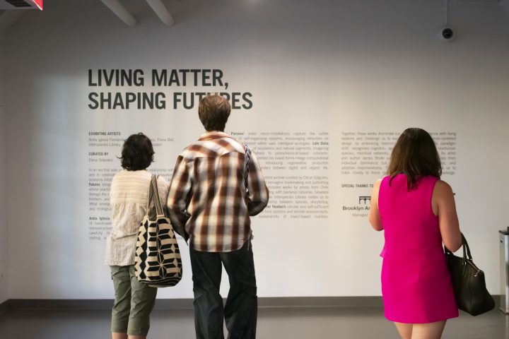 BioBAT Art Space, Living Matter, Shaping Futures, 2025.