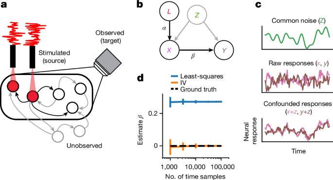 Du connectome à l’effectome