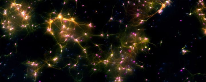 DishBrain : neurones incarnés dans un jeu
